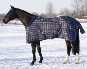 Stable rug luxury 300gr Blue Check 215