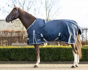Turnout rug 600D fleece lining Dark blue 215