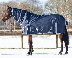 Turnout rug 600D with neck 300gr Navy 215
