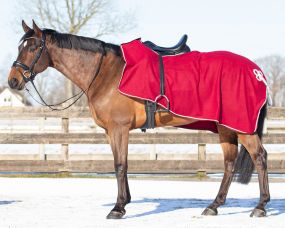 Exercise rug fleece ornament Burgundy/silver XL