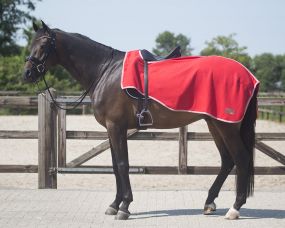 Exercise rug fleece Color Bright red XL