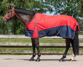 Turnout rug collection 0gr Diamond 215