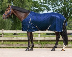 Fly rug collection Stardust 215