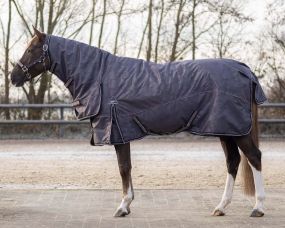 Turnout rug collection with neck 300gr Mineral 185
