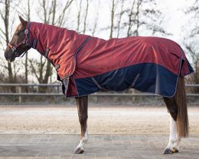 Turnout rug collection 150gr with detachable neck Saddlery 1