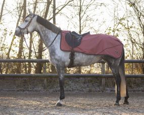 Exercise sheet turnout collection fleece Terra XL