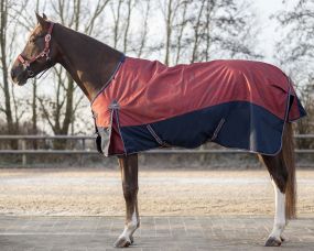 Turnout rug collection falabella 150gr Saddlery 110
