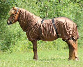 Eczema rug Icelandic Brown 185