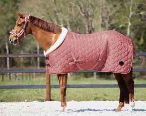 Stable rug Classy Dusty Cedar 215