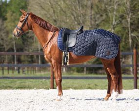 Quarter rug Classy | QHP - Everything for horse and rider