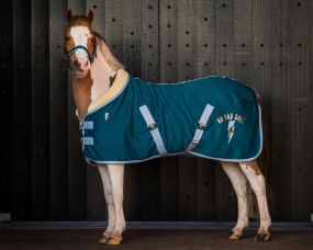 Fleece rug Thunderbolt Deep Lagoon 145