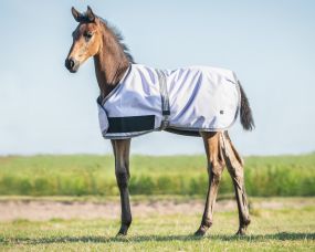 Foal rug turnout collection Lavender 80