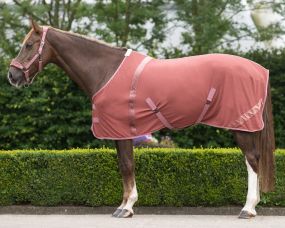 Rug Summer Glow Blush 175
