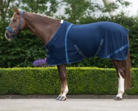 Rug Summer Glow Navy 215