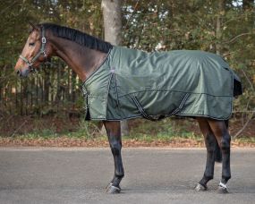 Turnout rug collection 150gr Botanista 215