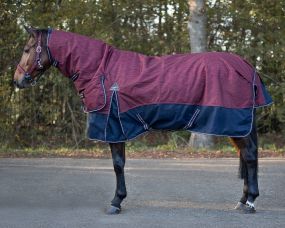 Turnout rug collection with neck 300gr Cherry 215
