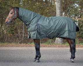Turnout rug collection 150gr with detachable neck Botanista 