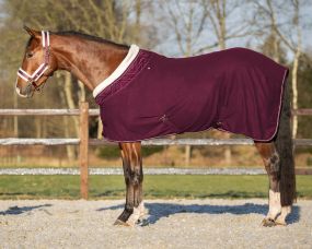 Show rug Menton Plum 215