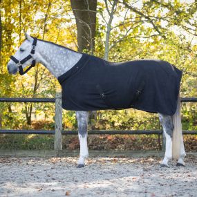 Show rug Zahra Black 215