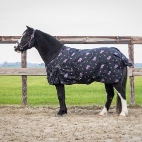 Turnout rug Lize 100gr Black/violet 205