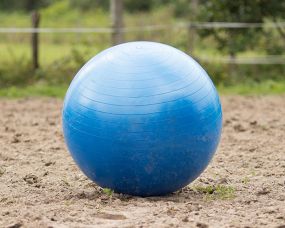 Horse football Blue 80-100cm
