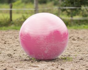 Horse football Pink 80-100cm