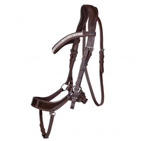 Bridle Eris Brown Full