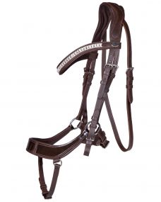 Bridle Eris Brown Full