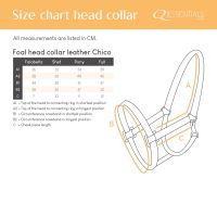 Foal head collar leather Chico