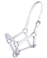 Foal head collar leather Chico