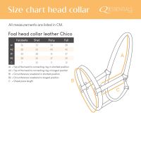 Foal head collar leather Chico