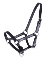 Foal head collar leather Chico