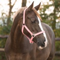 Head collar slide
