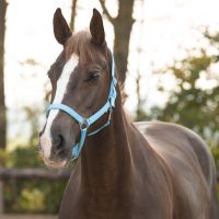 Head collar slide