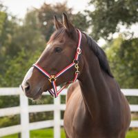Head collar Red/White/Blue