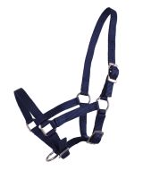 Head collar foal