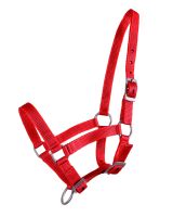 Head collar foal