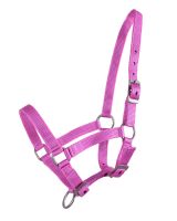 Head collar foal