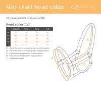 Head collar foal