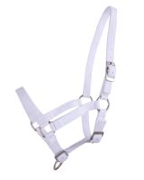 Head collar foal