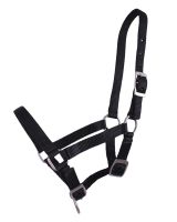 Head collar foal