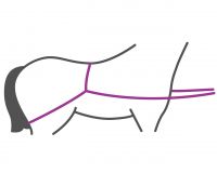 Trailer loading line