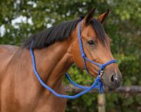 Rope halter with rein