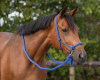 Rope halter with rein