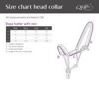 Rope halter with rein