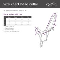 Rope halter with rein