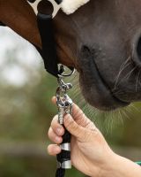 Lead rope with panic clip