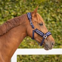 Head collar set Dolci
