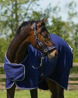 Head collar set Dolci