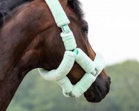 Head collar Alaska